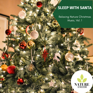 Eventide Coniferous Night