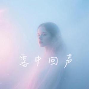雾中回声