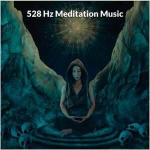 528 Hz Release Inner Conflict & Struggle