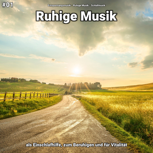 Ruhige Musik, Pt. 38