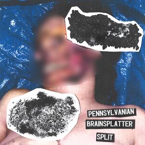 Gastrointestinal Perforation Oozing Fecal Fluids / Semi Digested Neuro-Tissues in the Digestive Tract