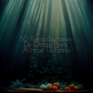 Melodías Nocturnas Luminiscentes