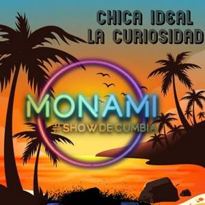 Chica Ideal / la Curiosidad (Cover)