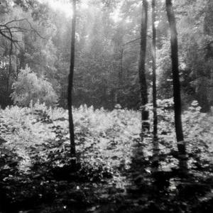 Bivouac