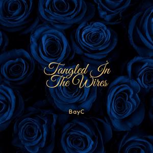 Tangled in the Wires