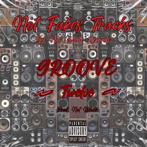 Not Fakes Tracks GROOVE (feat. Twelve)