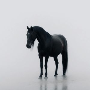 [Free] “不同的梦” 丨Pop Rap Type Beat