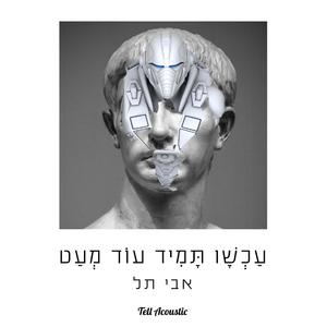 עידן האבן