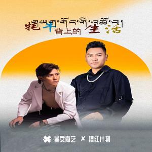 牦牛背上的生活