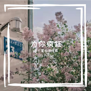 为你疯狂