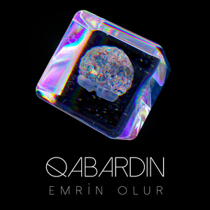 Emrin Olur