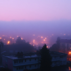 Frosted Veil