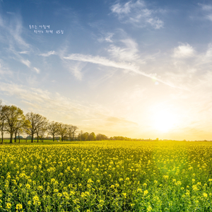 아침의 맑고 건강한 심신 활동을 위한 힐링 명상음악 - 동트는 아침에