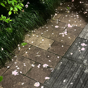 idont wannabeyou anymore