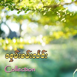 ၽွင်းတိုၵ်ႉၶတ်းၸႂ်