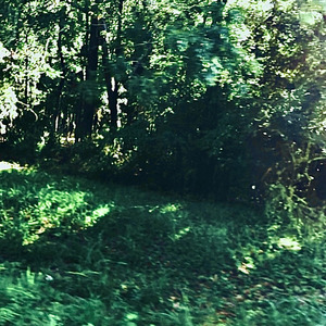 if my bedroom walls could tell our stories