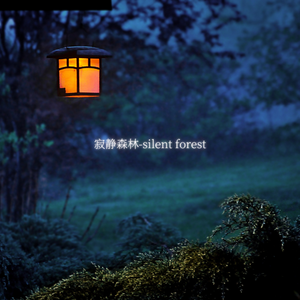 寂静森林-silent forest