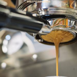 适合茶馆浪漫的音乐