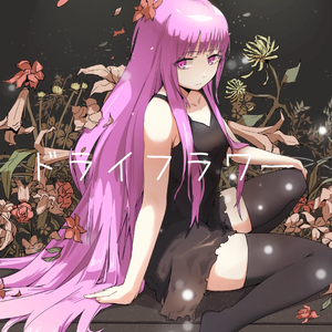 ドライフラワー