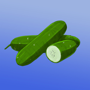 Cucumber