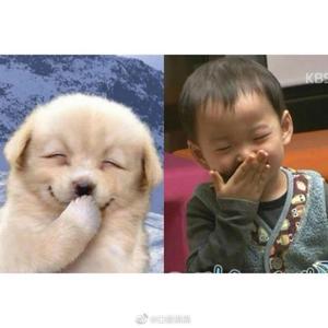 如果有一天我变得很有钱(3D版)_小笨蛋蓝蓝（翻自 毛不易）