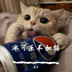 冰可乐不加猫