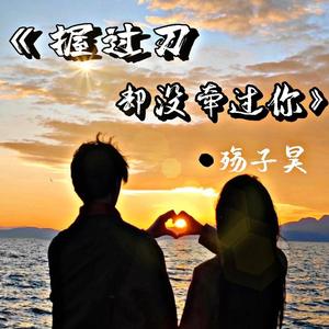 握过刀却没牵过你