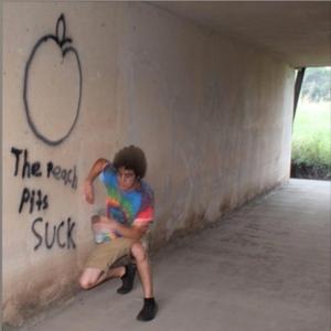 I Heard You Liked Me but I Hope That Isn't True Because I Don't Feel the Same Way (Demo) (Demo)