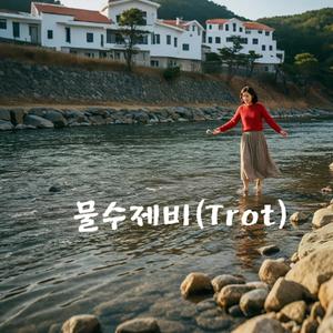 물수제비(Trot)