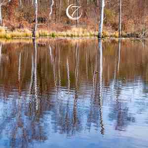 月坠花折 (吉他曲)