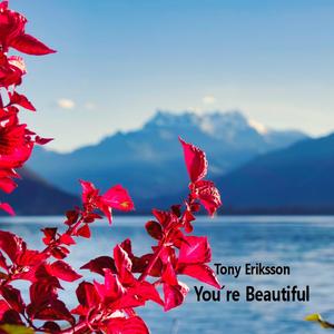 You´re Beautiful