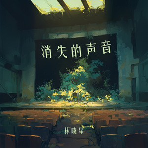 消失的声音