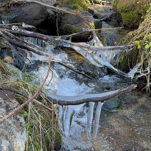 Vida Ranchera En Durango