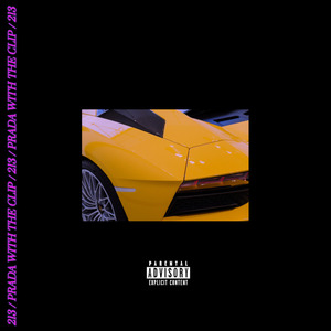 213 / Prada with the Clip