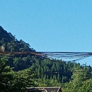 清梦