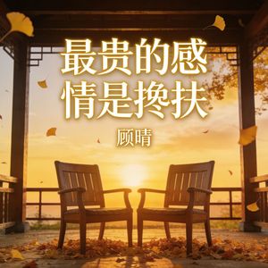 最贵的感情是搀扶