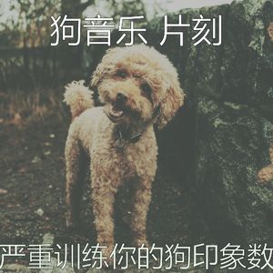 抚慰的可爱的狗回忆