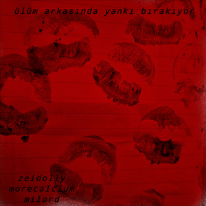 ölüm arkasında yankı bırakıyor