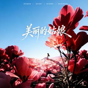 美丽的姑娘（DJ中文版）