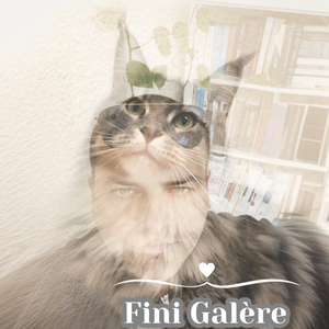 Fini Galère