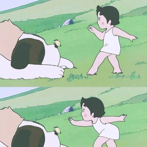 像鱼