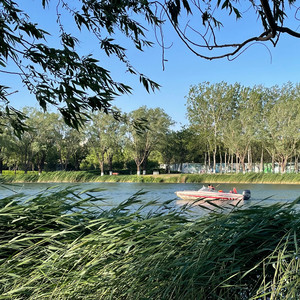 这条小鱼在乎（I'm a little fish）