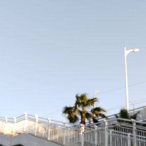 亲爱的钟儿变奏版