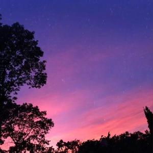 Reason(Prod by Bizy)