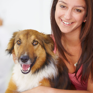 Harmonic Hums for Happy Hamsters