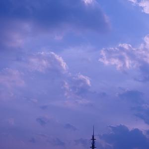 Delicate (钢琴改编)