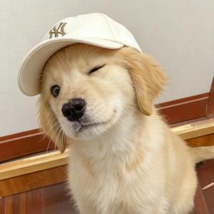 少年的风，穿过操场的白衬衫