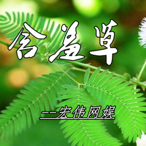 含羞草的夏天