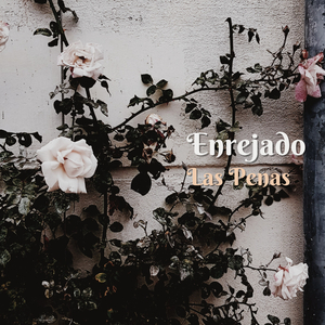 Enrejado