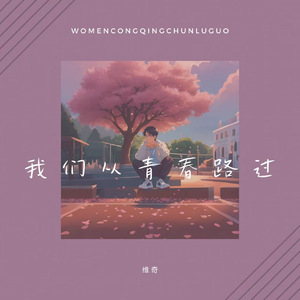 我们从青春路过
